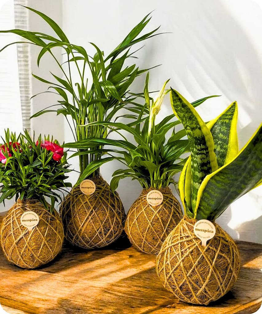 20 Easy Minimalist DIY Home Decor Ideas For Beginners 16 Kokedama