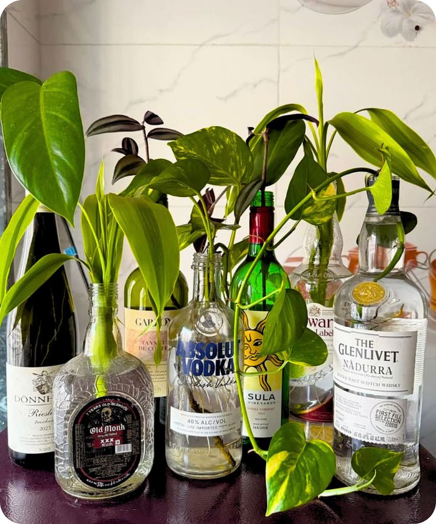 20 Easy Minimalist DIY Home Decor Ideas For Beginners 14 Self-Watering Wine Bottle Planters