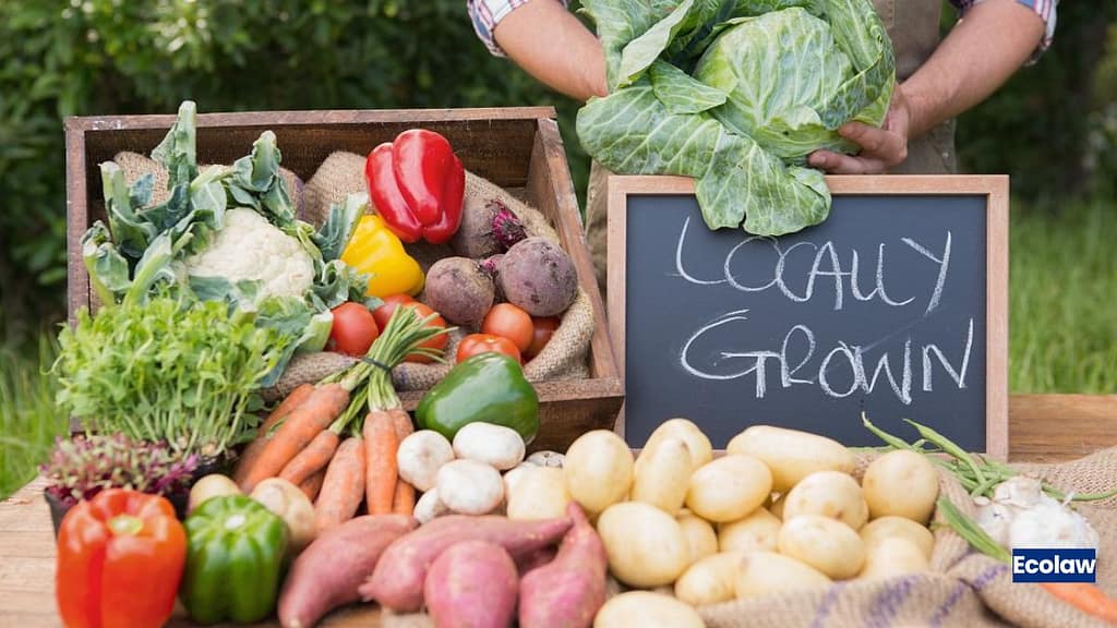 5 Smart, Sustainable Ways to Save Money on Groceries in India 5 Buy Local, Buy Seasonal — Ditch the Supermarket Markup