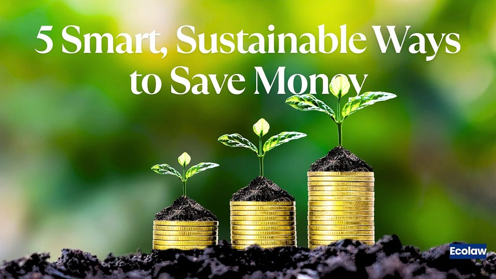 5 Smart, Sustainable Ways to Save Money on Groceries in India