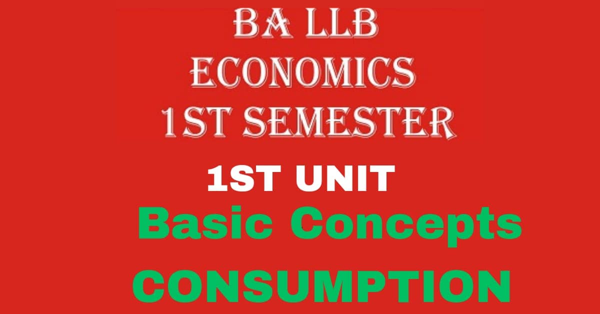 Explain The Importance And Features Of Consumption