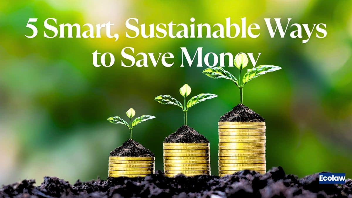 Ecolaw - Advocating For The Planet 33 5 Smart, Sustainable Ways to Save Money on Groceries in India