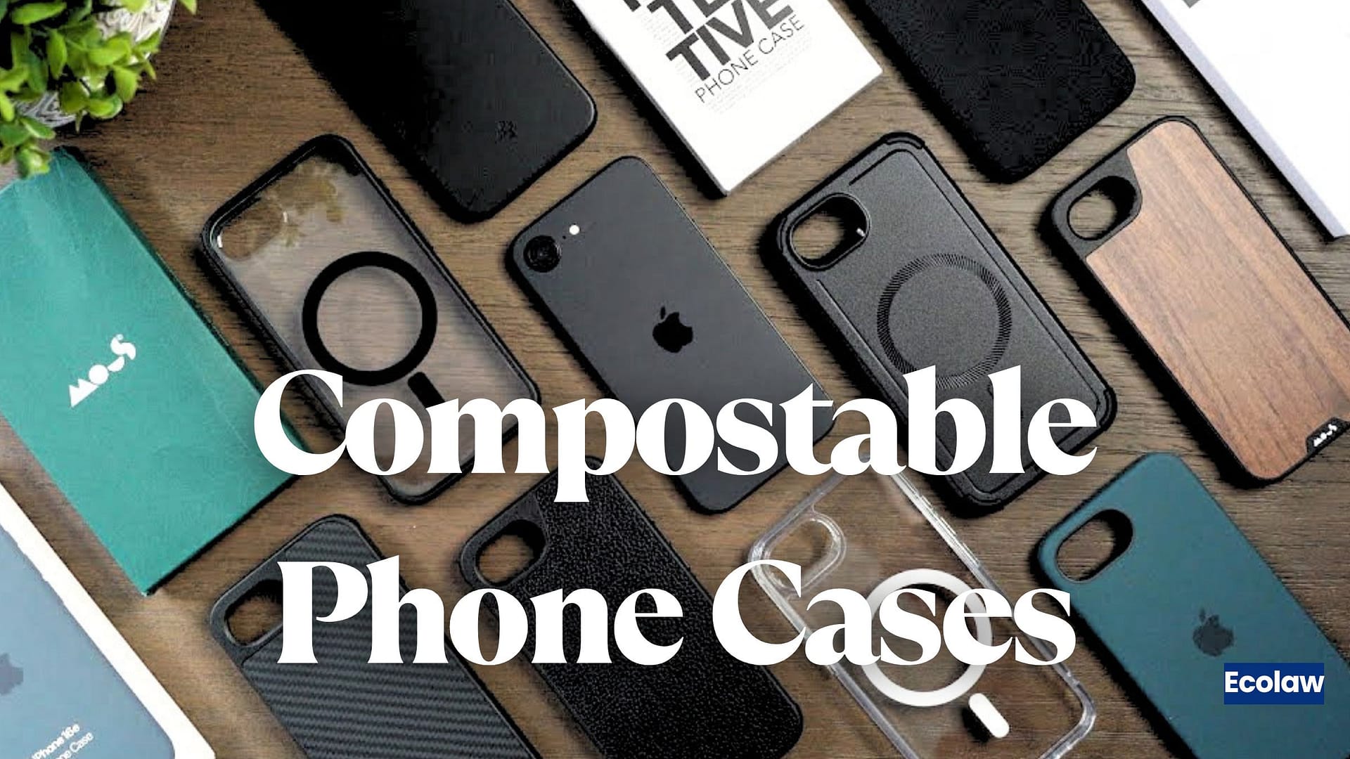 Ecolaw - Advocating For The Planet 29 Compostable Phone Cases: Why Your Current Case Is a Silent Environmental Disaster