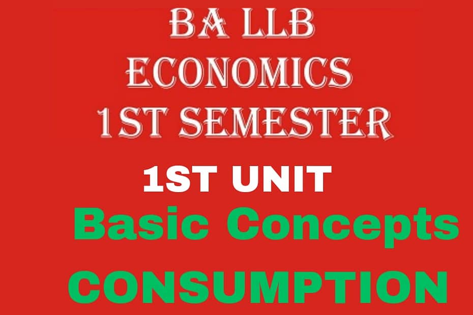 What is Consumption? Explain its Importance and Features.
