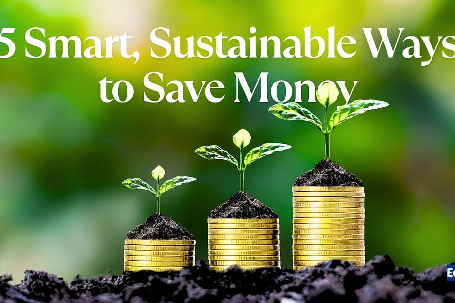 5 Smart, Sustainable Ways to Save Money on Groceries in India 79 5 Smart, Sustainable Ways to Save Money on Groceries in India